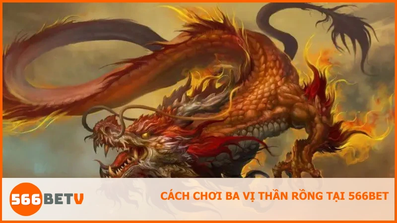 Cách chơi Ba Vị Thần Rồng tại 566BET